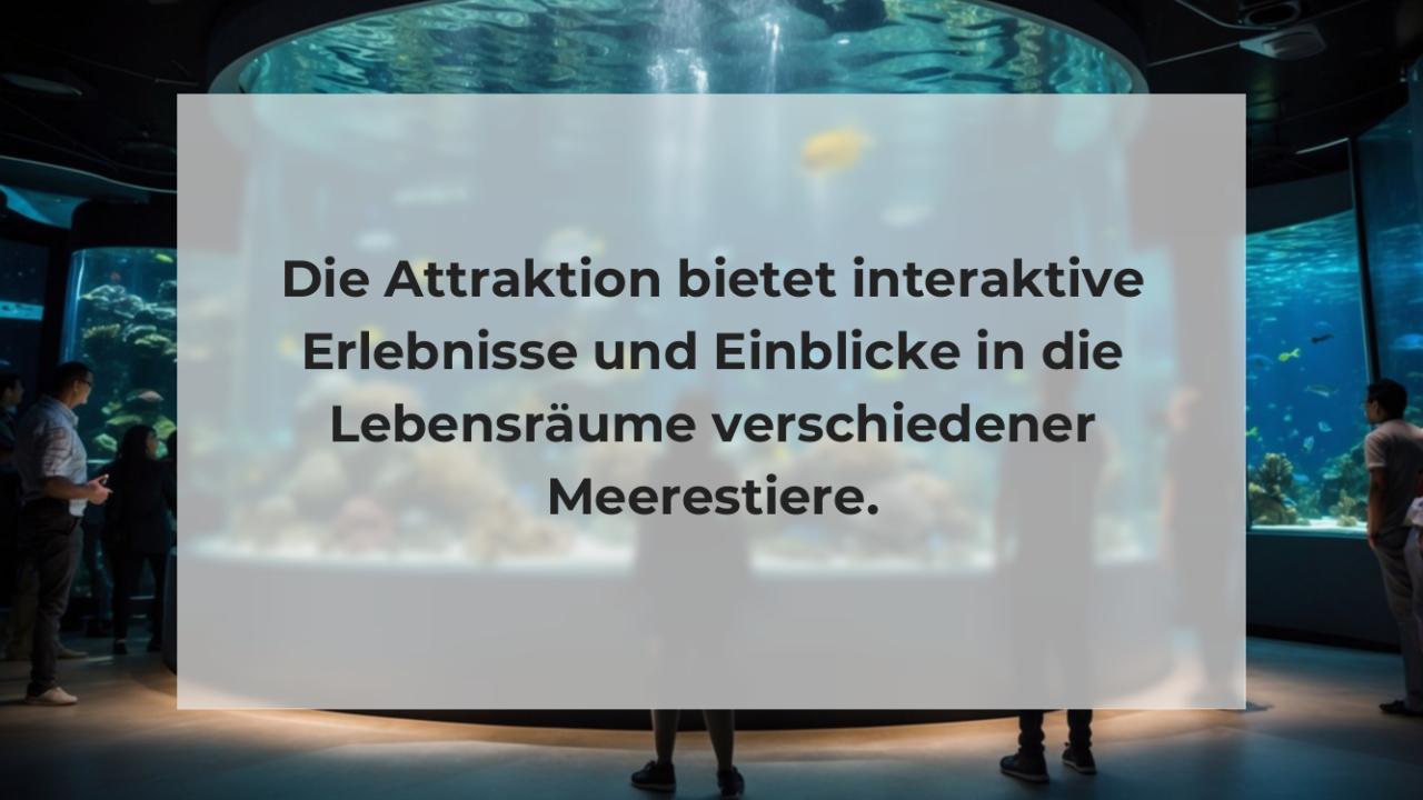 Die Attraktion bietet interaktive Erlebnisse und Einblicke in die Lebensräume verschiedener Meerestiere.