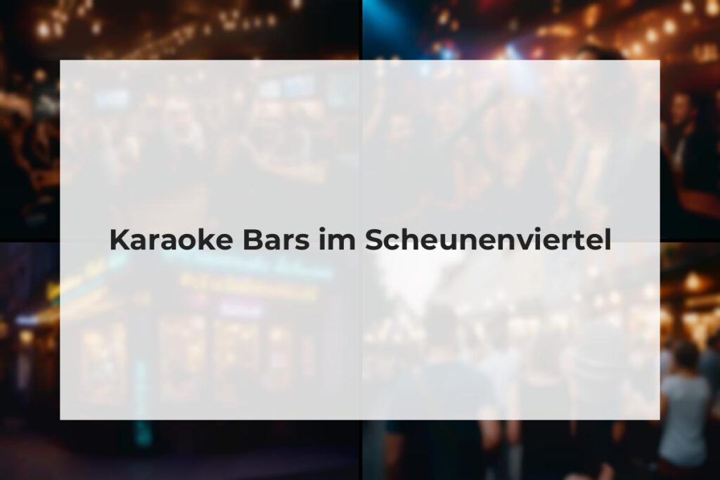 Karaoke Bars Scheunenviertel